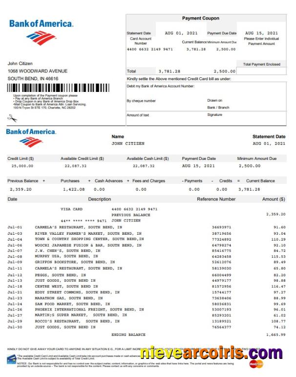 USA Bank of America EXCEL version 5